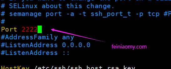 Linux下修改ssh端口号的方法