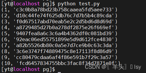 Python模块psycopg2连接postgresql的如何实现