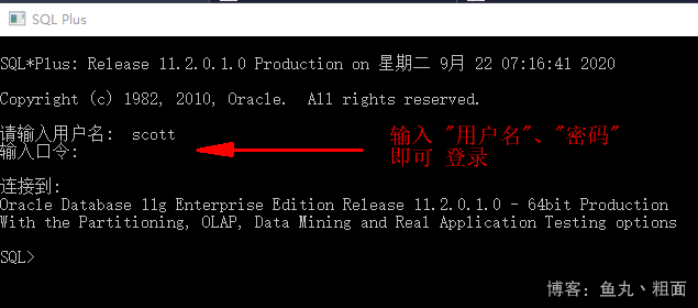 sqlplus 命令登录 Oracle数据库的多种方法
