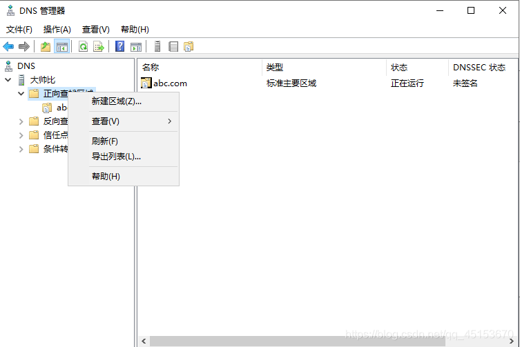 Windows Server 2019配置DNS服务器