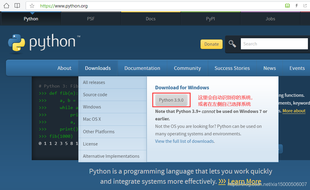 Python3.9最新版下载与安装图文好代码教程详解(Windows系统为例)