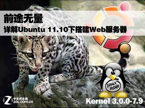 Ubuntu 11.0下配置Web服务器详细好代码教程[ 图文]