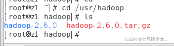 Linux下安装Hadoop集群详细步骤